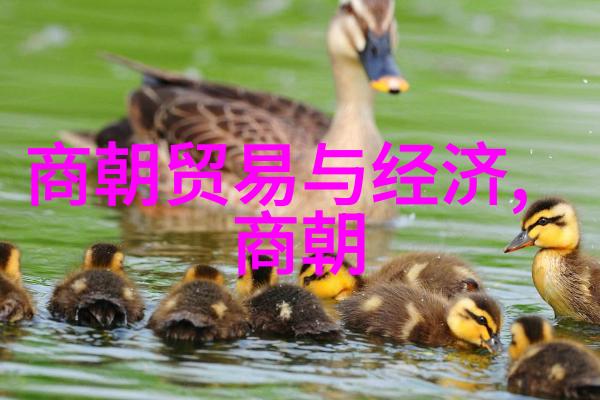 明朝历史事件-大明之衰从洪武到崇禎的覆灭