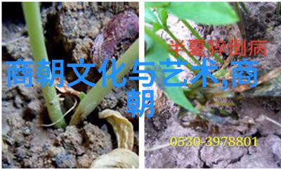 元朝历史最值得借鉴的治国理政智慧元朝政治制度与文化融合