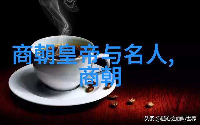 探秘明朝历史MP3百度网盘解密