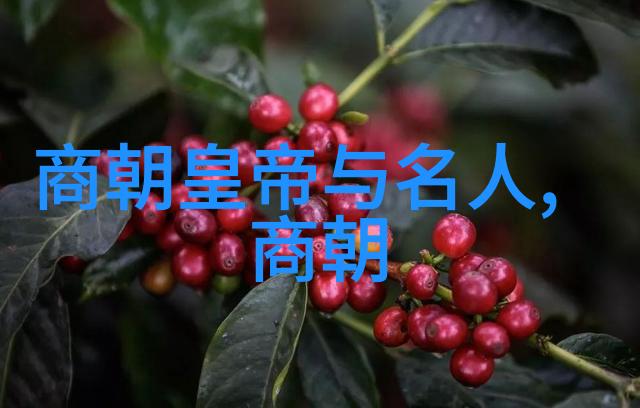 元朝灭亡后皇室公主下场我亲眼看完了那些被忘却的宫廷秘史