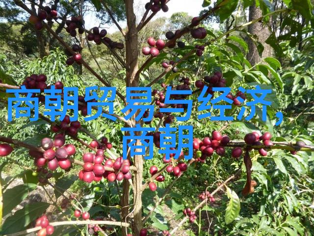 明朝历代年号汇编揭秘龙飞凤舞的帝王时期