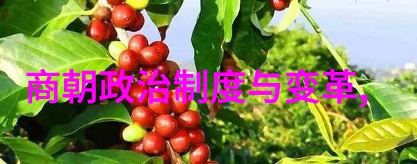 明末八大寇的传奇李自成张献忠王首道孙传祺石青阳刘宗矩高起涣张