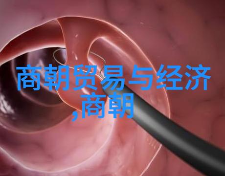 帝影沉浮揭秘古代帝国隐秘历史趣事