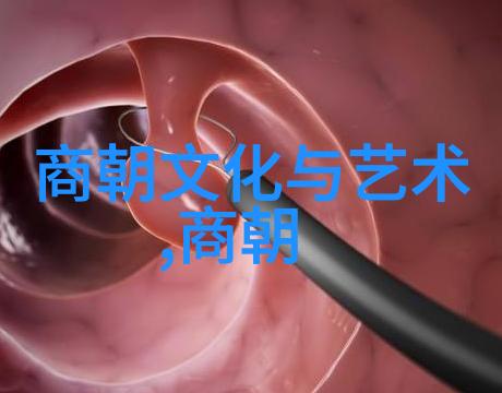 明朝咱们来看看这朝代里哪些人物能排上名单吧