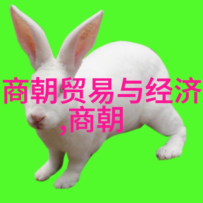 元代历史背景的宏观展望与微观细节探究