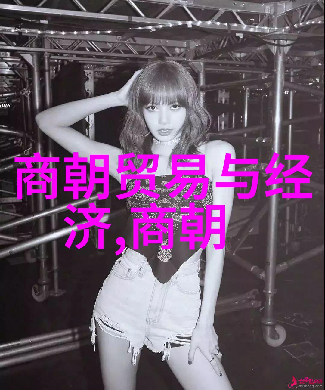 河南省曲剧十大名角之谜霍林背后的故事