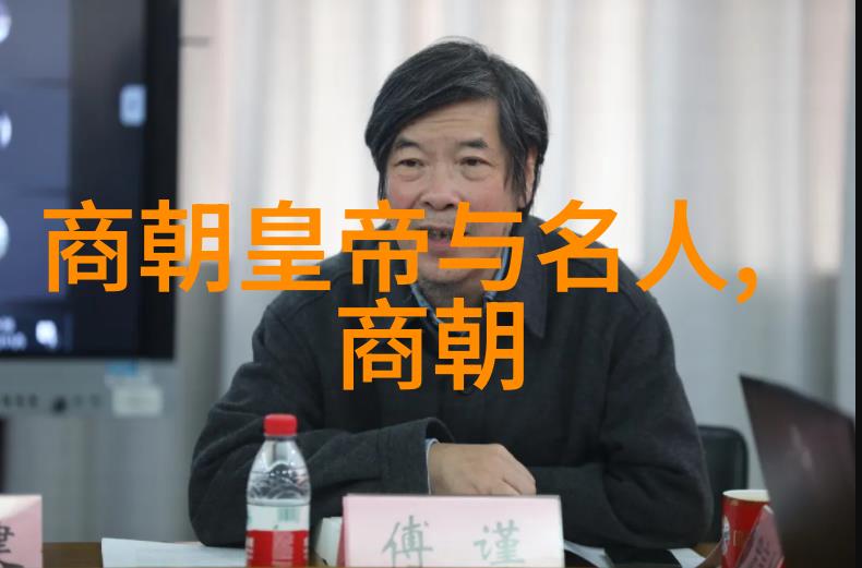 元朝是如何应对外族入侵的