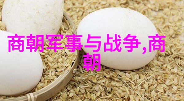探索历史的镜子一个关于权力的自私与统治的考量
