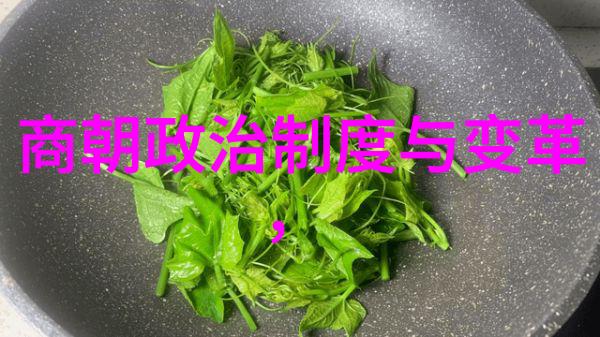 明太祖朱元璋灭亡元朝的真正原因探究