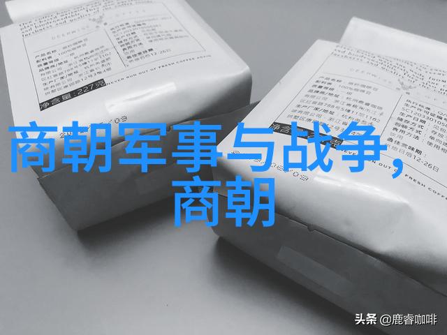 我与我的辩证探索朱允熞内心世界