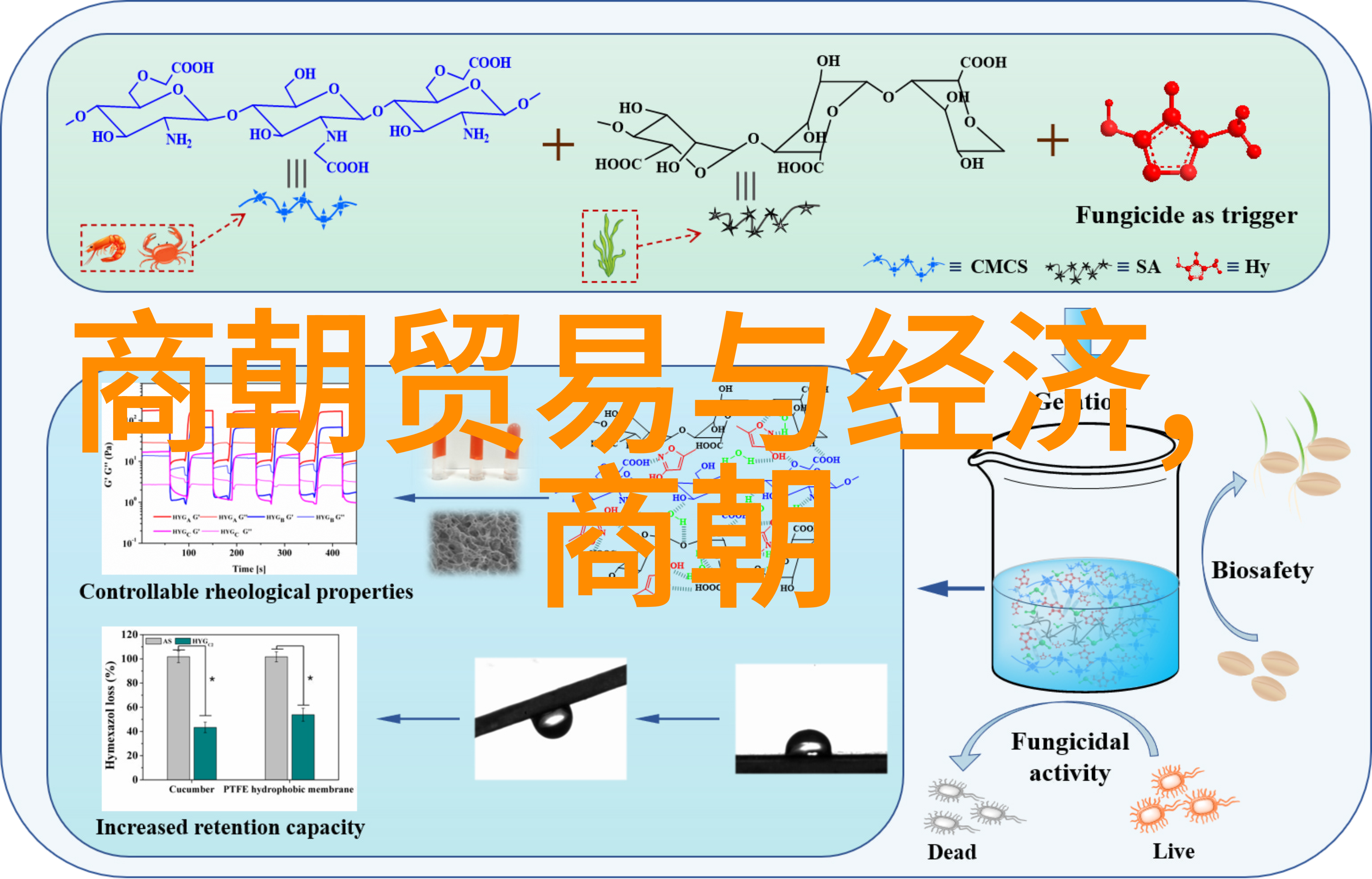 中华五千年历史中的什么时期被认为是黄金时代