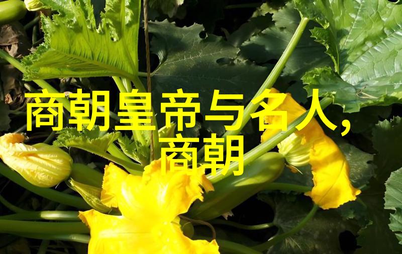 明朝宦官的兴起与影响力排名