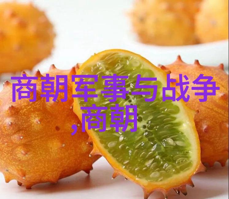 乾隆皇子的荒唐事儿子们的江山大戏