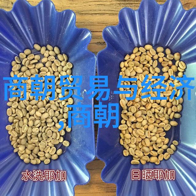 明朝朝代简介-明辉煌从朱元璋到崇祯的兴衰变迁