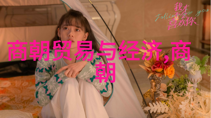 蔡伸国学之谜解