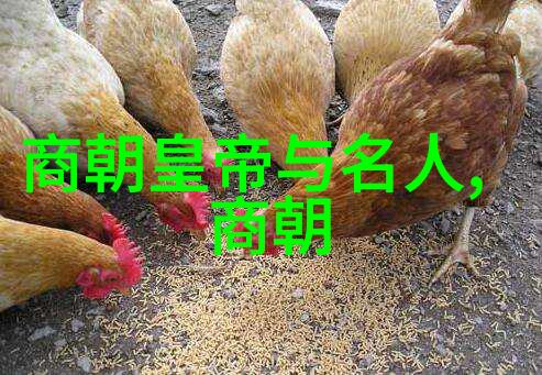 从开国到亡国明朝帝王一览表