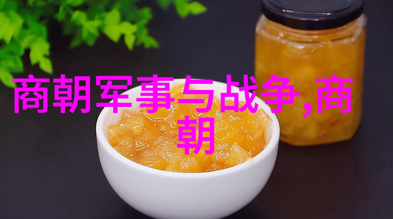 加载中清朝乾隆雍正排位 - 乾隆与雍正的皇家争锋一场关于清朝继承权的历史较量