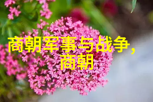 走进历史博物馆探索传统文化的脉络各个朝代介绍