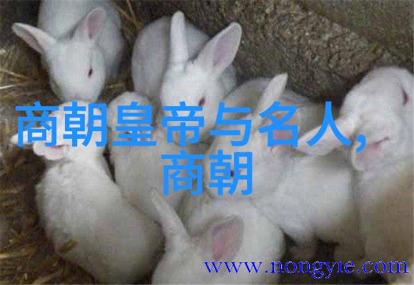 汉王之言与朱瞻基的命运背后的历史考量