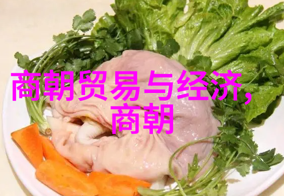 南华真人庄子探秘中国学术期刊网
