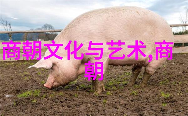孙怀仁黄梅戏中的旦行演员与导演工作者他又是卖油郎中的重要角色是不是他在舞台上以其深情的表演感染了无数