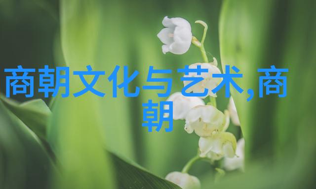 一分钟了解清朝历史快来看看它是怎么回事吧