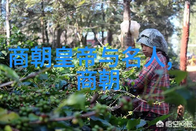 从出塞到秋风不再来论中国古典诗歌的变化趋势