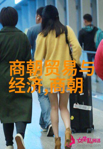 宋史中的帝王形象与真实面貌比较研究