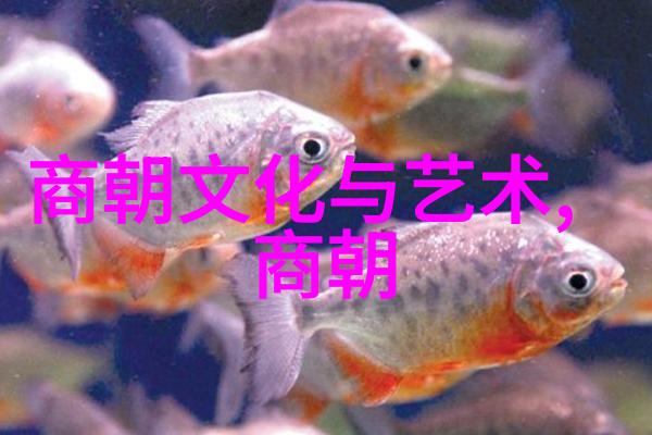 南宋历代帝王赵构光宗赵昚宁宗赵惇理宗