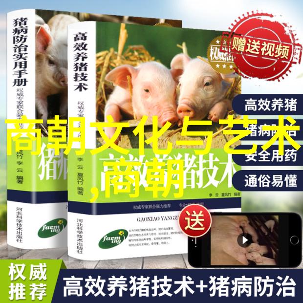 民间传说中的幽灵故事阴影与恐怖的交织
