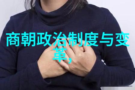 大明王朝历史与文化映射问题探索大明王朝的政治经济艺术和社会等方面的映射现象及其背后的问题