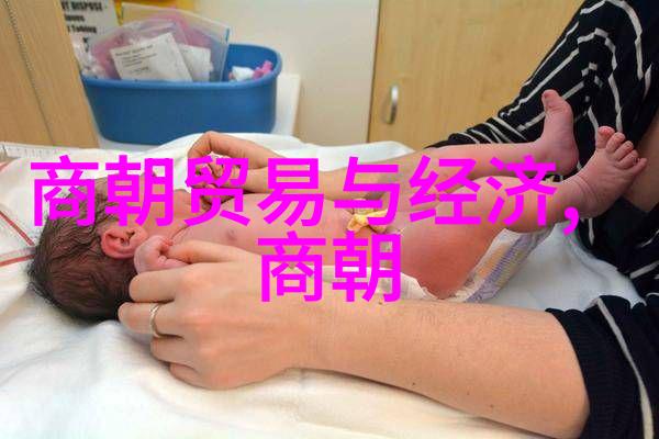 百度云上的明朝秘史揭秘那些尘封的真相