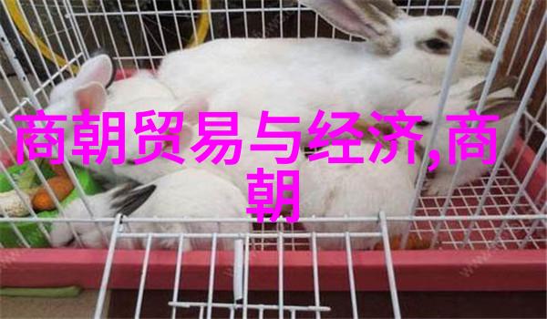 辉煌与衰落元朝的盛世之光与暗夜