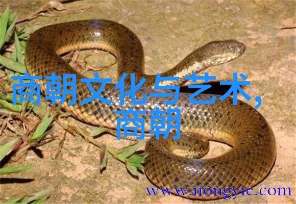 古代书法名家刘晓斌笔墨如诗书写精妙世人称颂
