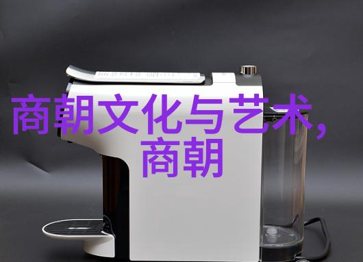 光绪之前清朝末期皇位更替的复杂篇章