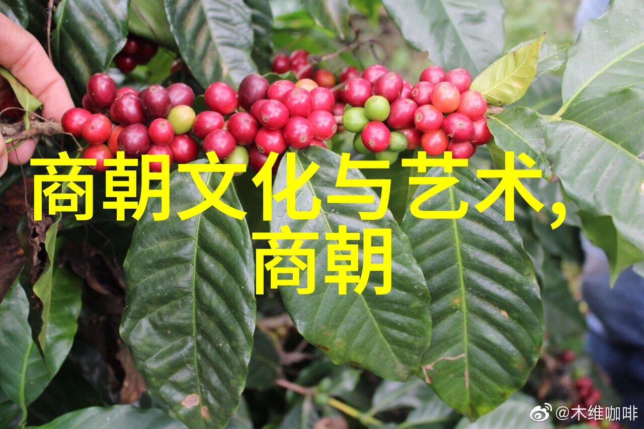 明朝画像时光里的皇家风采
