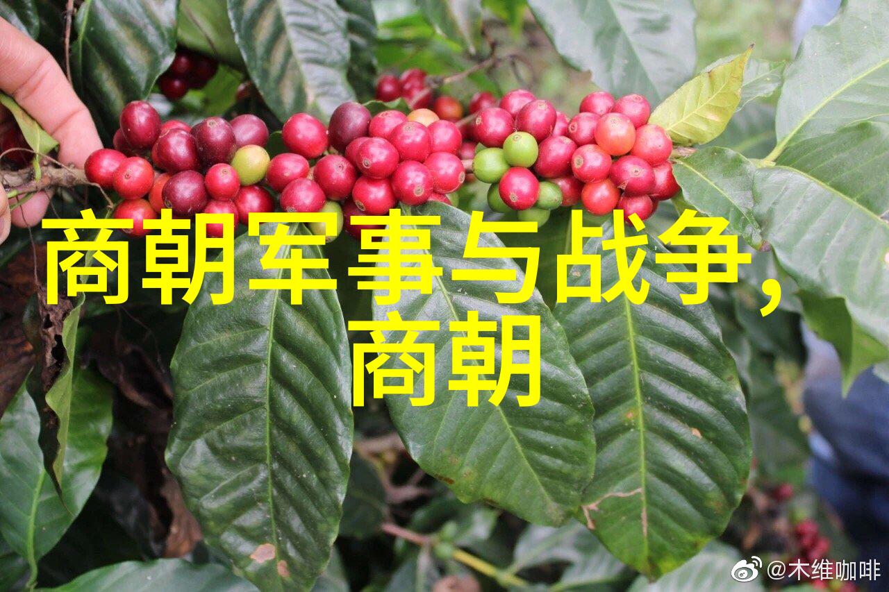 宋朝第一美女李清照唐代文学名著中的才女形象