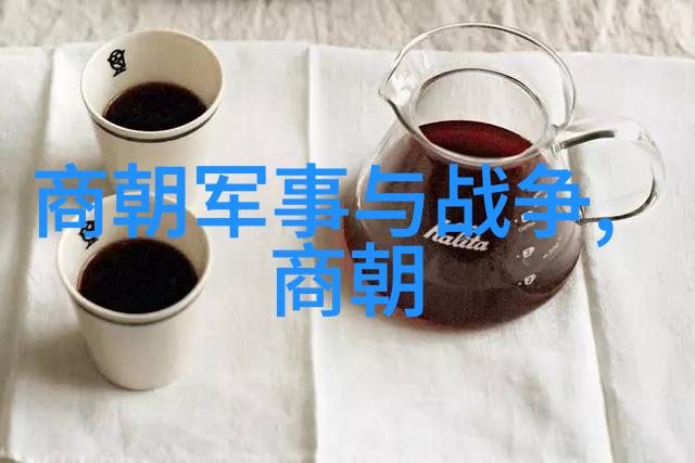 历史的断层思考那些几乎被遗忘但仍应珍存的王朝