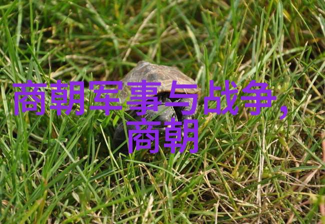 元朝经济实力丝绸之路上的霸主