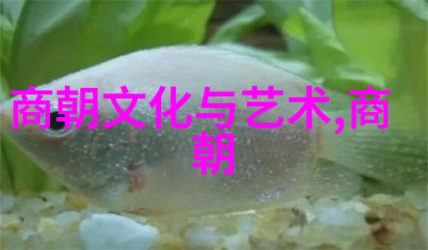 明朝霸主谁是真正的领袖之光