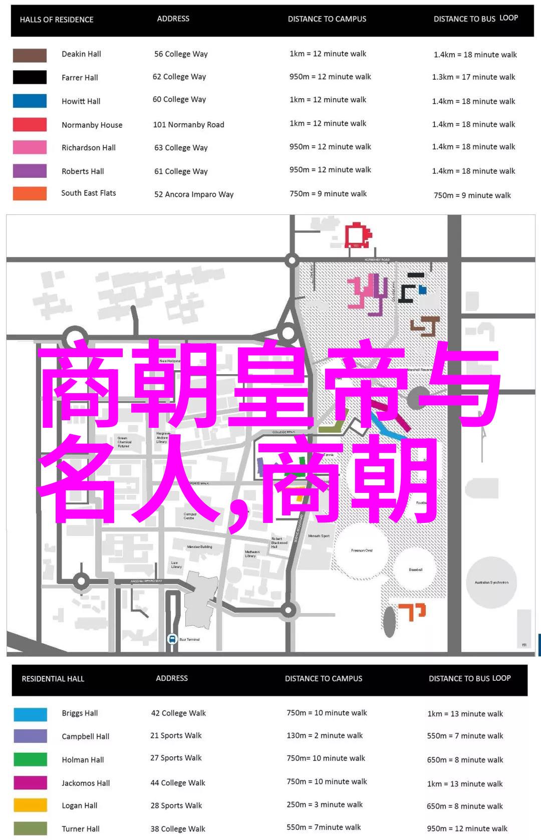脱脱对文化发展和宗教政策有什么贡献或影响