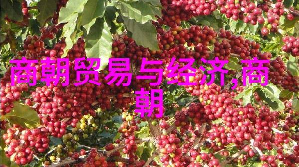 周放点亮赵幼斌的智慧之光