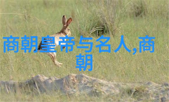 随着时间流逝隋唐两代皇家陵墓何去何从