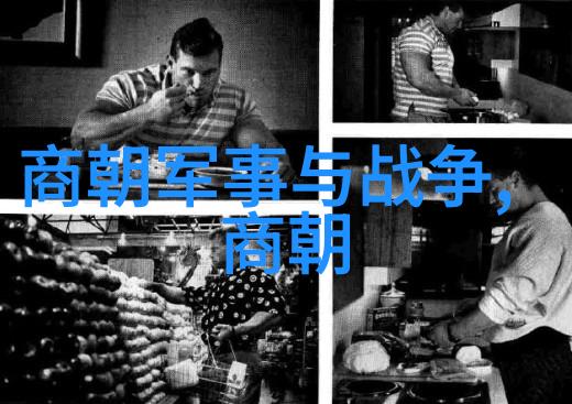 在战乱中大量民众被迫流离失所他们面临了什么困境和挑战