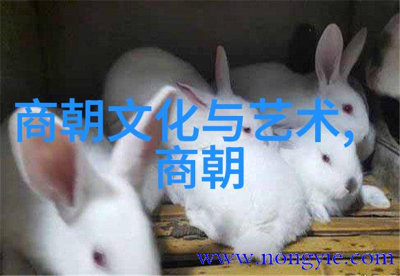 元代的身份认同与中国历史的地位考量
