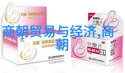 明清交替时期数学家们是如何塑造历史的