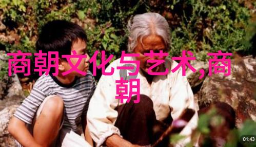 南宋建立时赵构夺取皇位是合法的吗