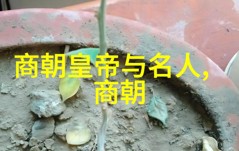重生之沉云夺日逆袭的巅峰