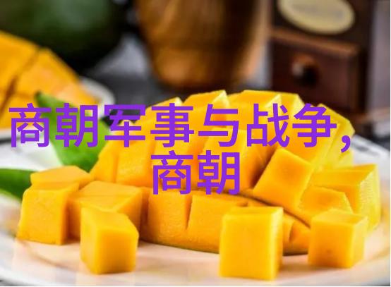 明朝辉煌与衰落从洪武到崇祯的历史解说