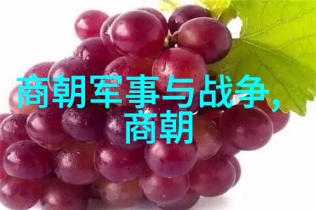 历史名人的隐秘面纱他们的故事背后藏着怎样的秘密